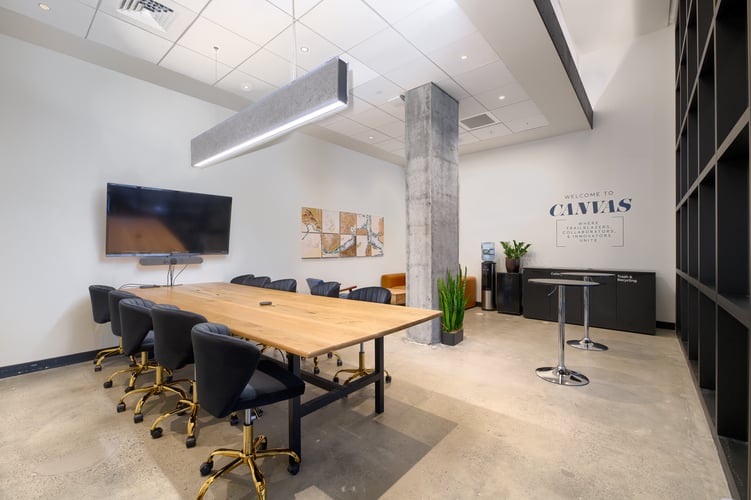 Canvas 1-1