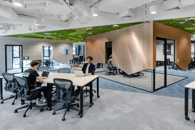 Crop image project (1)