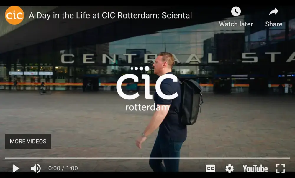 Video ScreenShot RDM